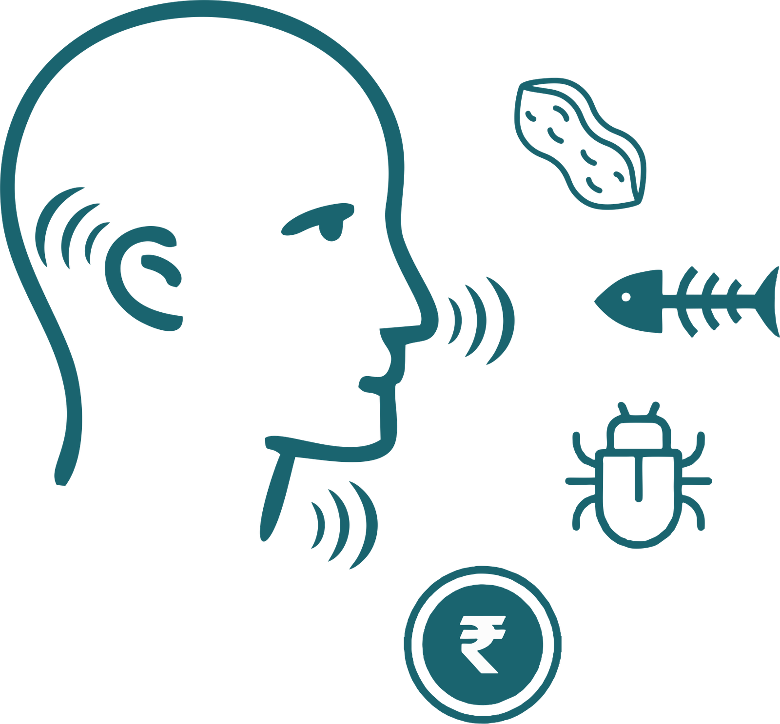 Ear wax / discharge perforation